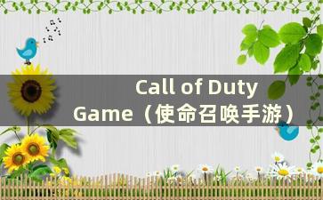 Call of Duty Game（使命召唤手游）
